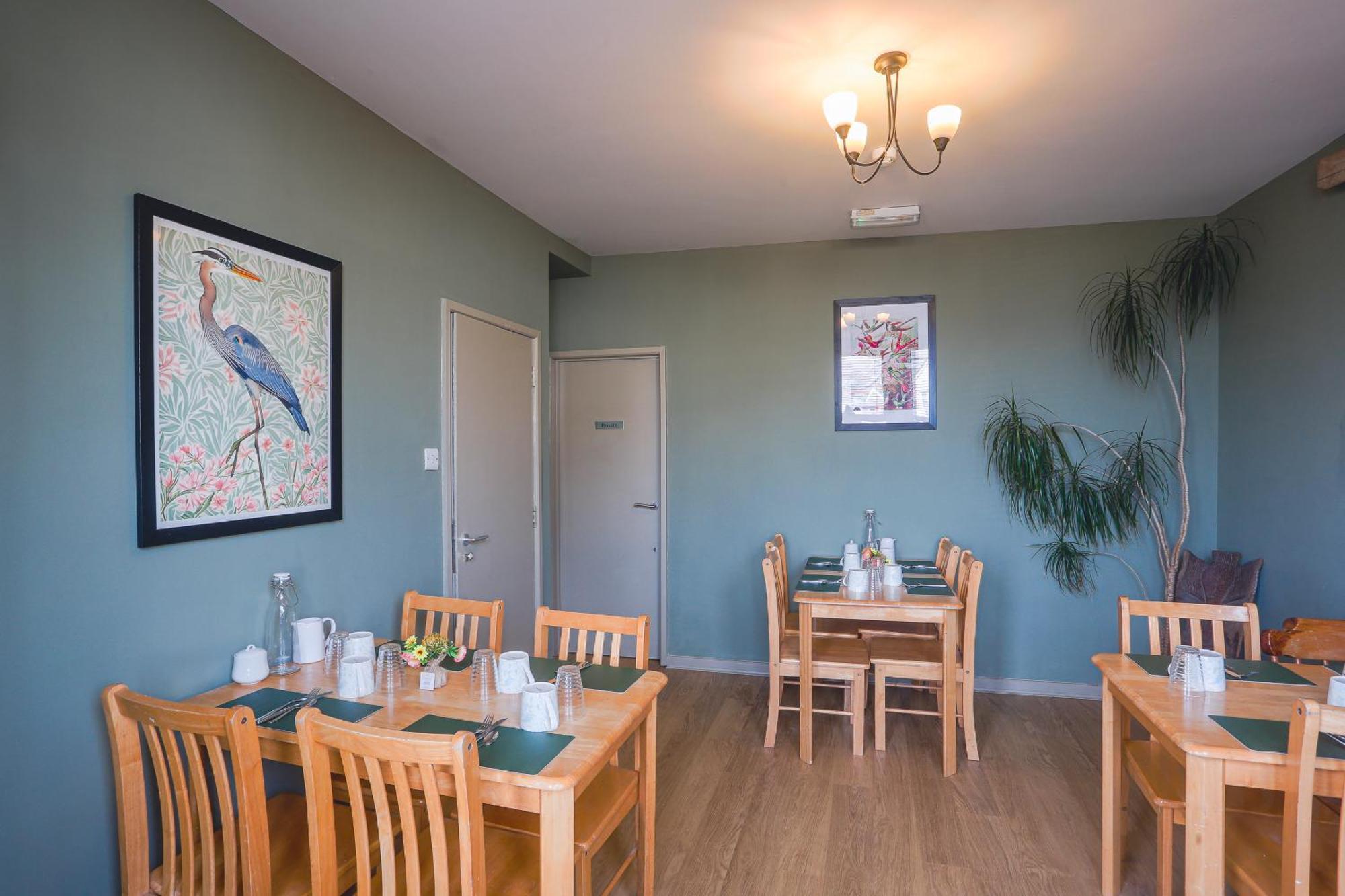 Smarties Guest House New Quay Zewnętrze zdjęcie